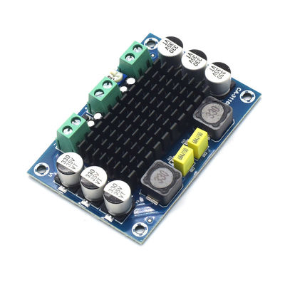TPA3116D2 চিপ এবং 12-24V ইনপুট সহ CA-3116D অরিজিনাল 100W মনো অডিও অ্যামপ্লিফায়ার বোর্ড