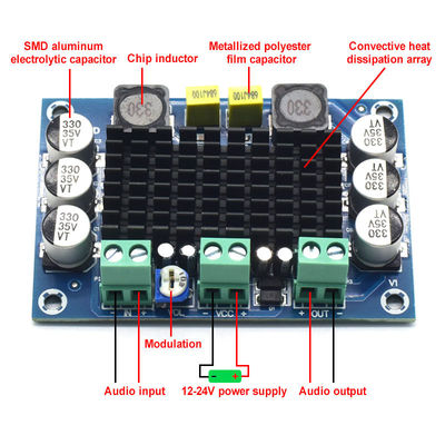 TPA3116D2 চিপ এবং 12-24V ইনপুট সহ CA-3116D অরিজিনাল 100W মনো অডিও অ্যামপ্লিফায়ার বোর্ড