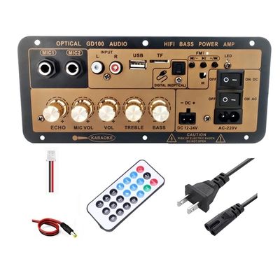 ব্যক্তিগত ছাঁচ NO 2 2.0 চ্যানেল 100W BT Mono Amplifier Board for Home/Car HiFi Karaoke