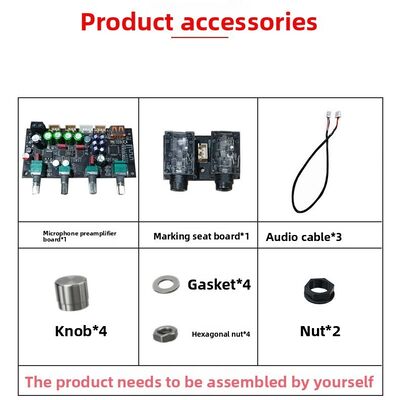 AMP Mike Front Power Amplifier Board Karaoke Reverb Board Microphone K Song Singing DSP Mixing Anti-Howling Made in China