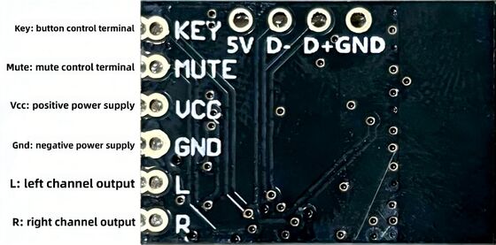 CA-425 V2.4 for 5.4 Wireless Audio Receiver Module Lossless Stereo High Fidelity Hi-Fi Electronic Components by Creatall